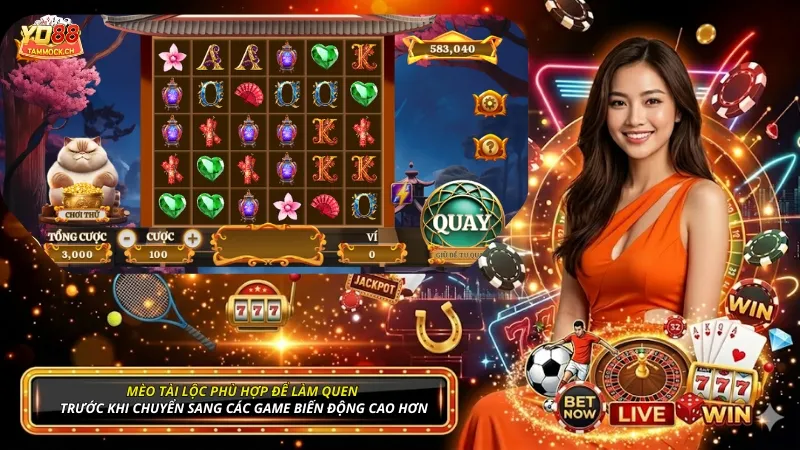 Mèo Tài Lộc phù hợp để làm quen trước khi chuyển sang các game biến động cao hơn
